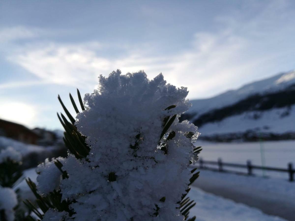 Roberta Loft - Rooms And Apartments Livigno Exterior foto